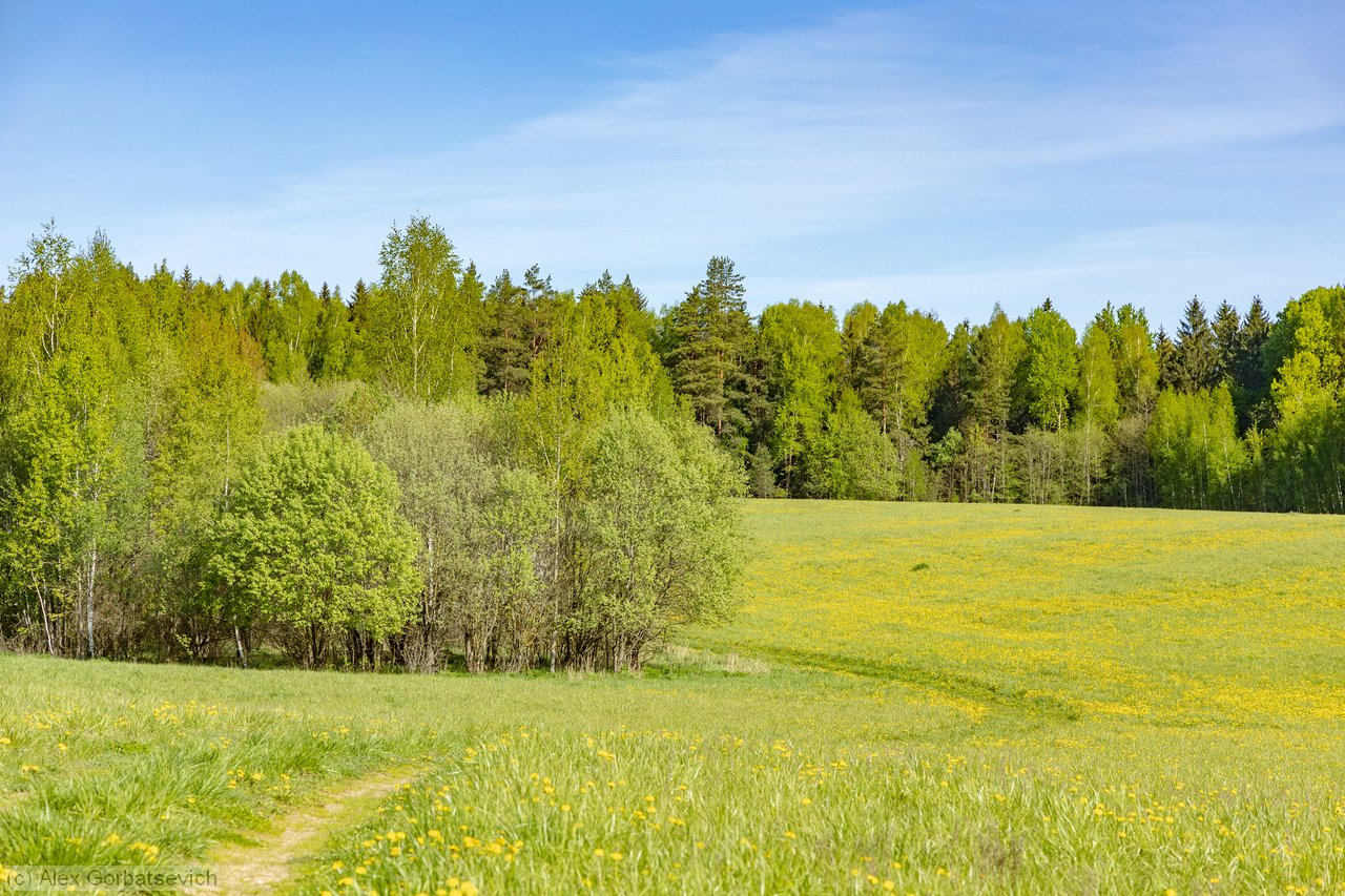 ������ ������