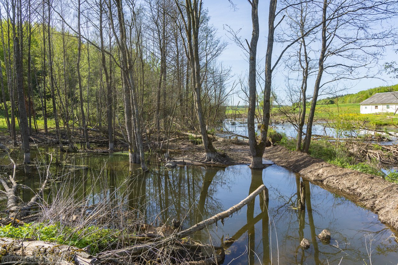 ����� �����������