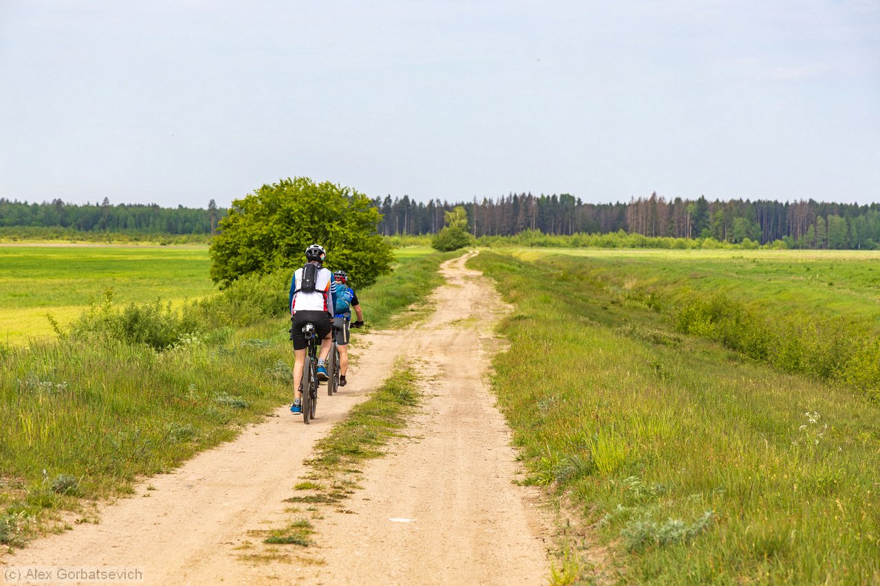 �� �����