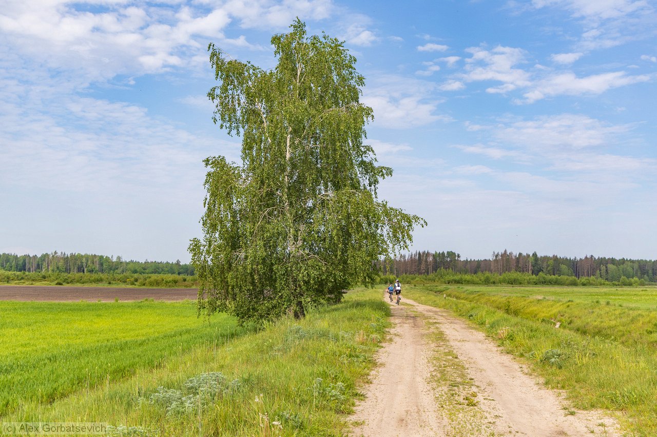 ����� �����