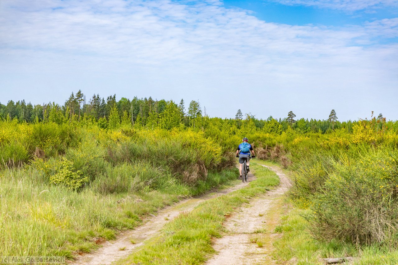 ������� ������