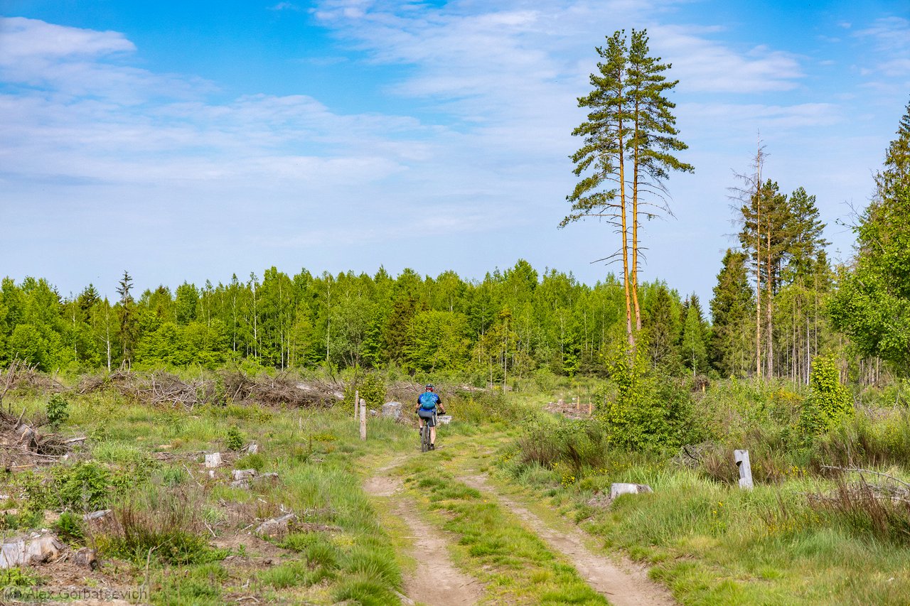 �� �������