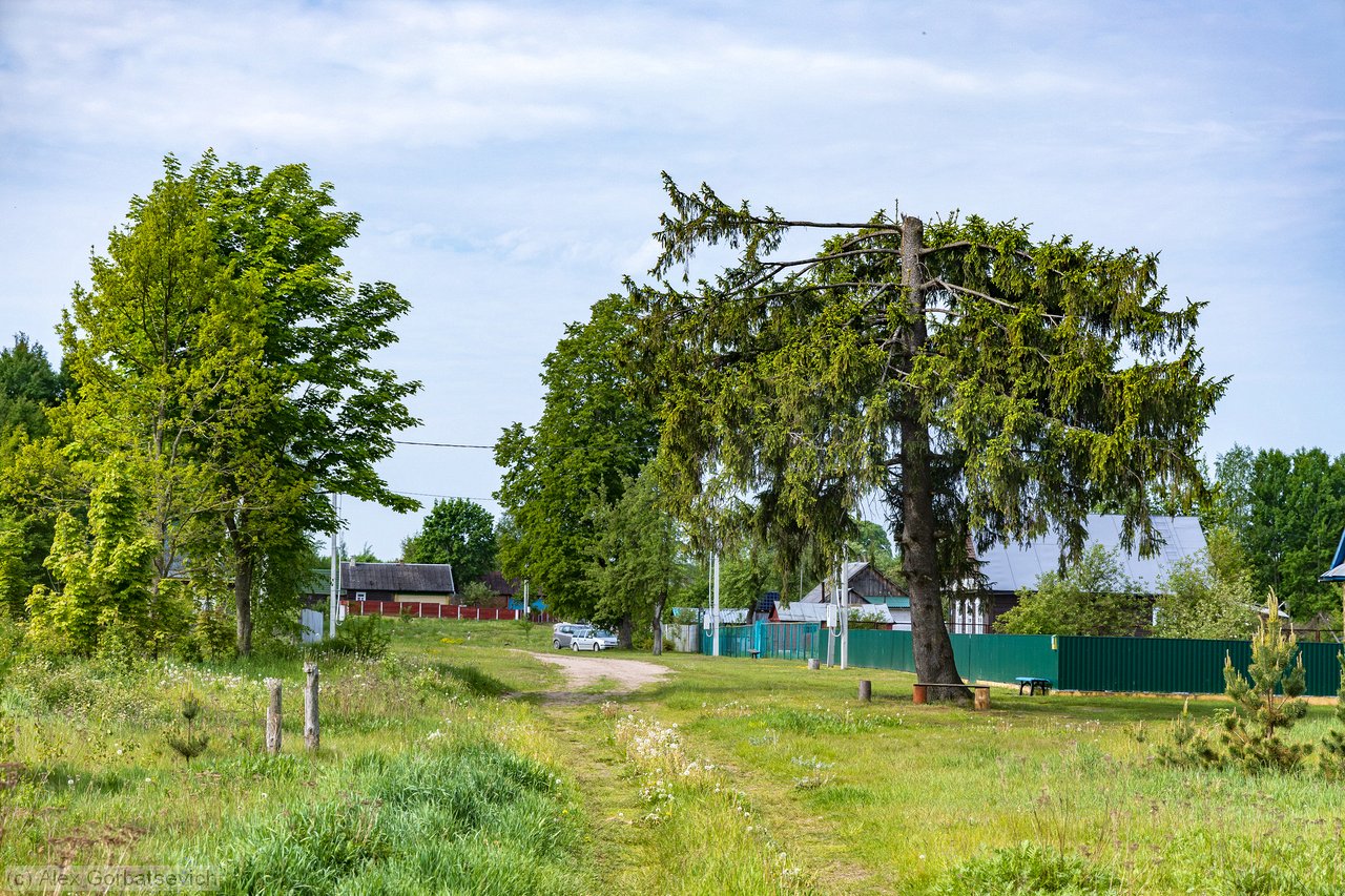 �������� �����