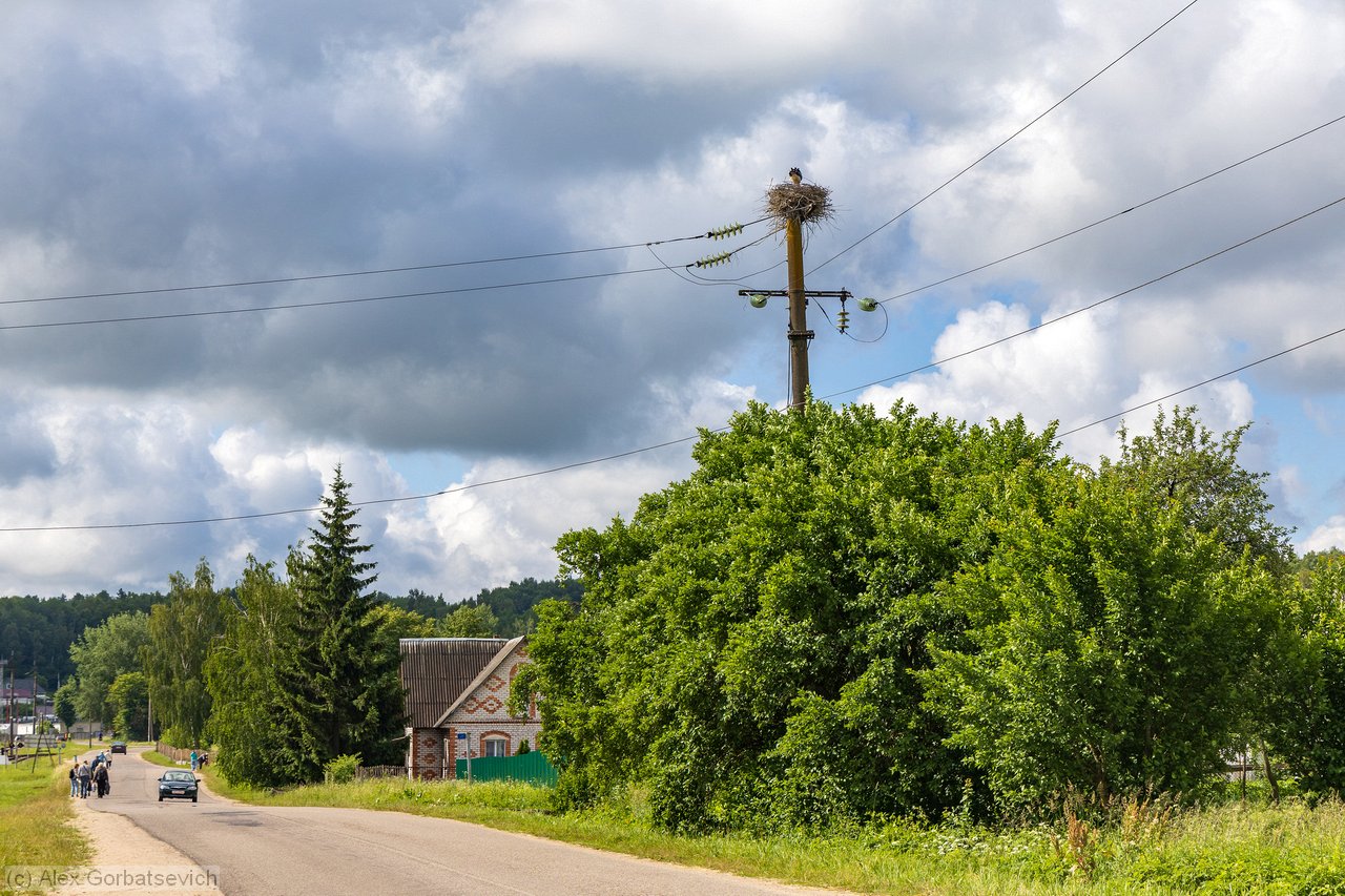 �� ������