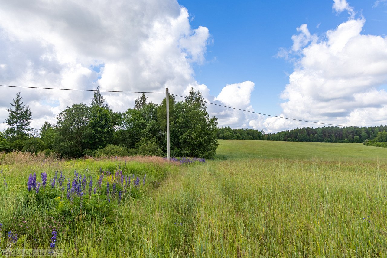 ��� ������