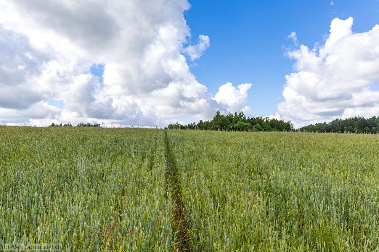 ������� ������