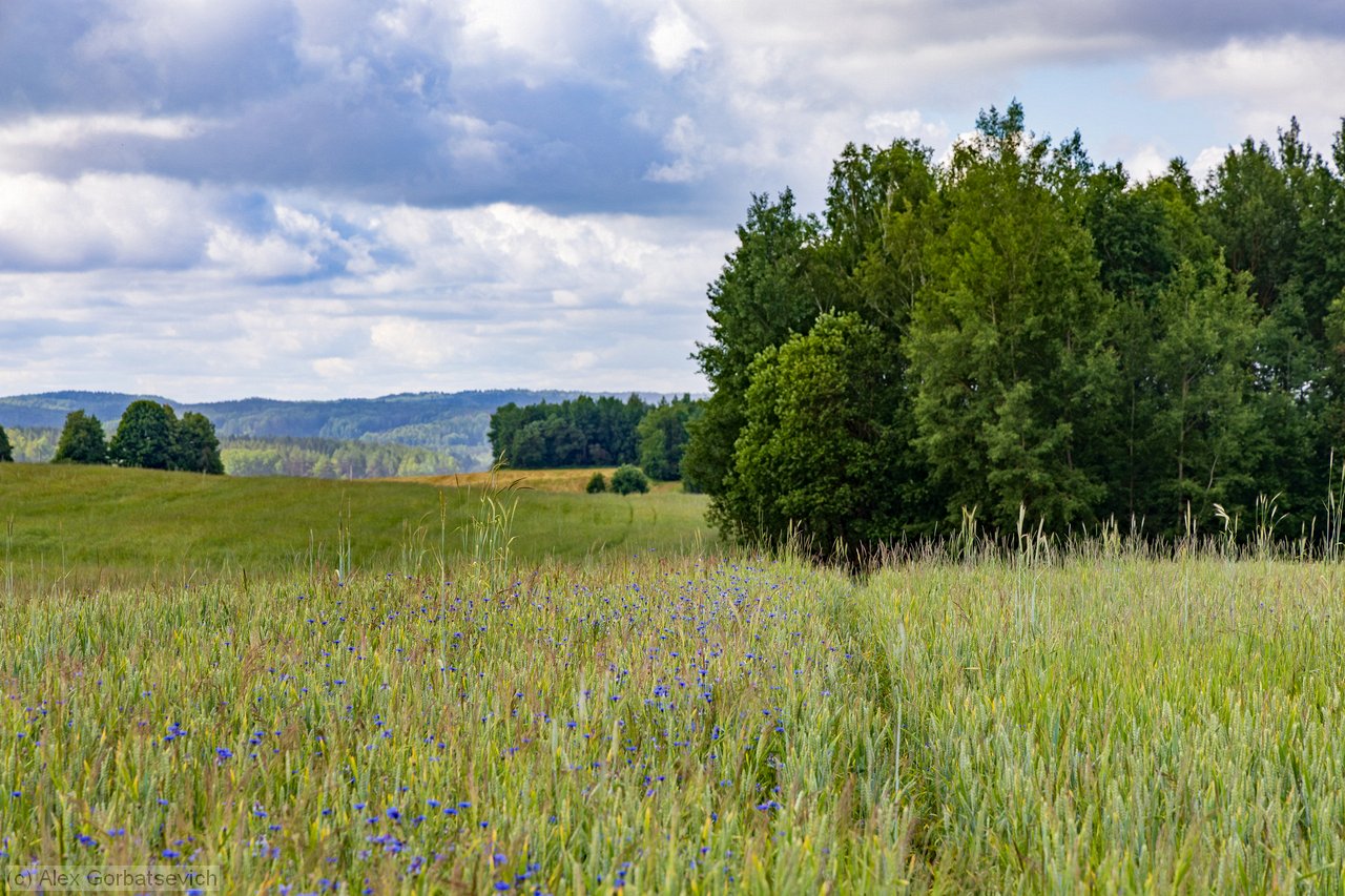 ������� ������