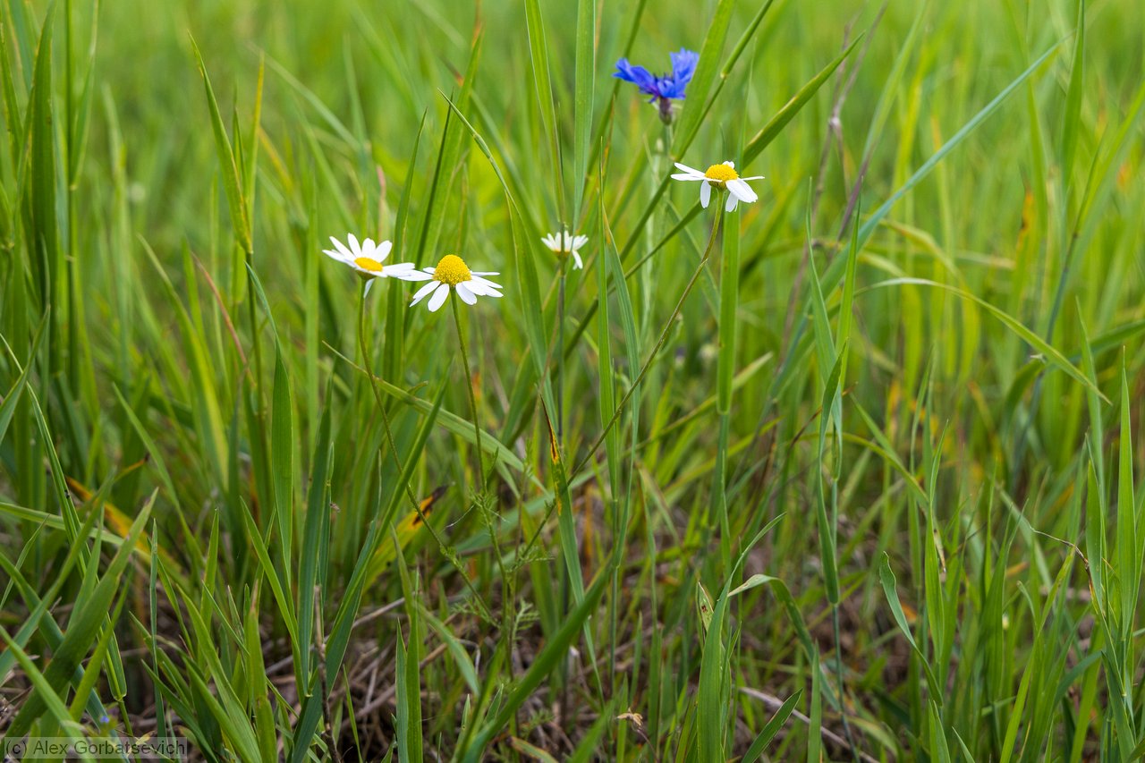 4-�� �� ������