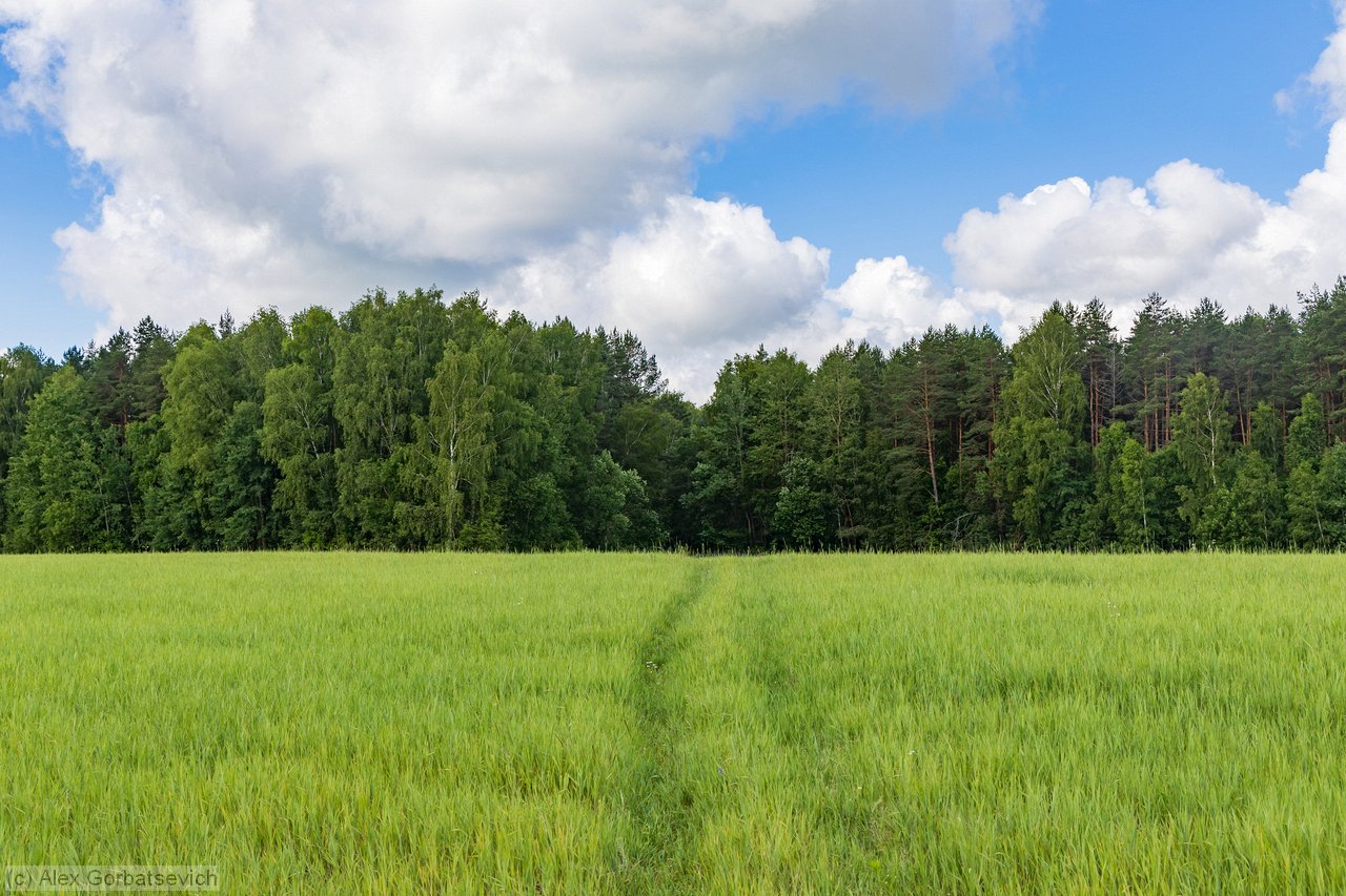 ������� ������