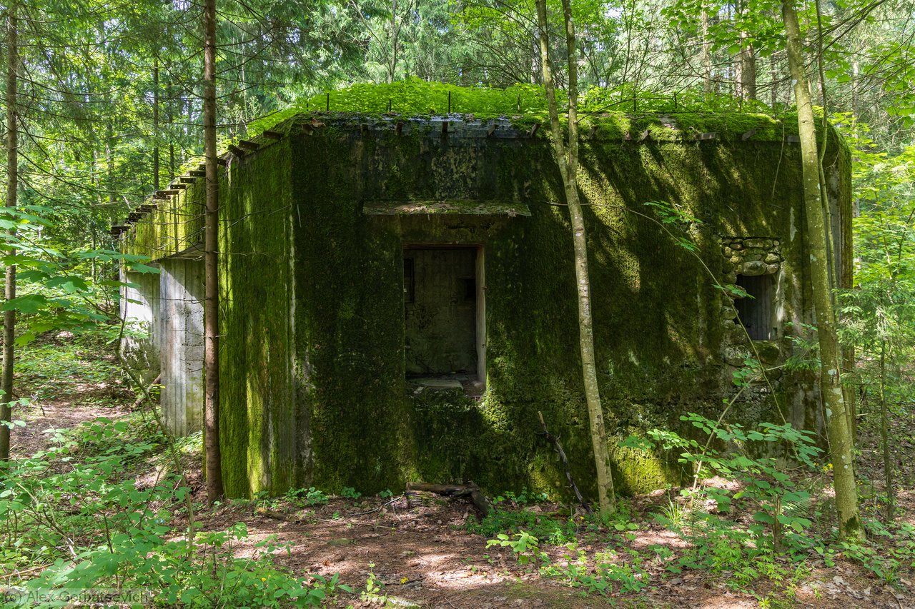 ����� �� �����������