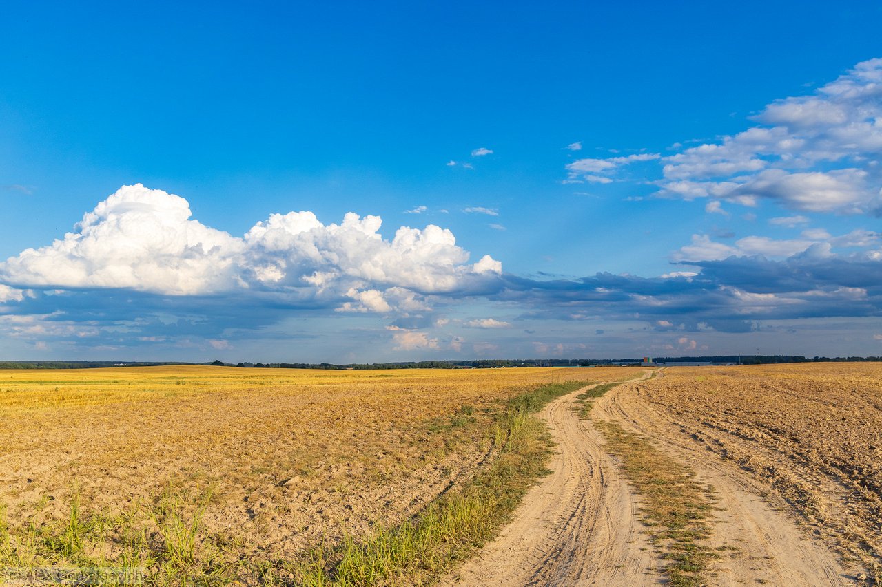 ������� ������