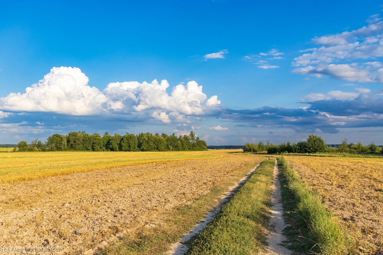 ������� ������