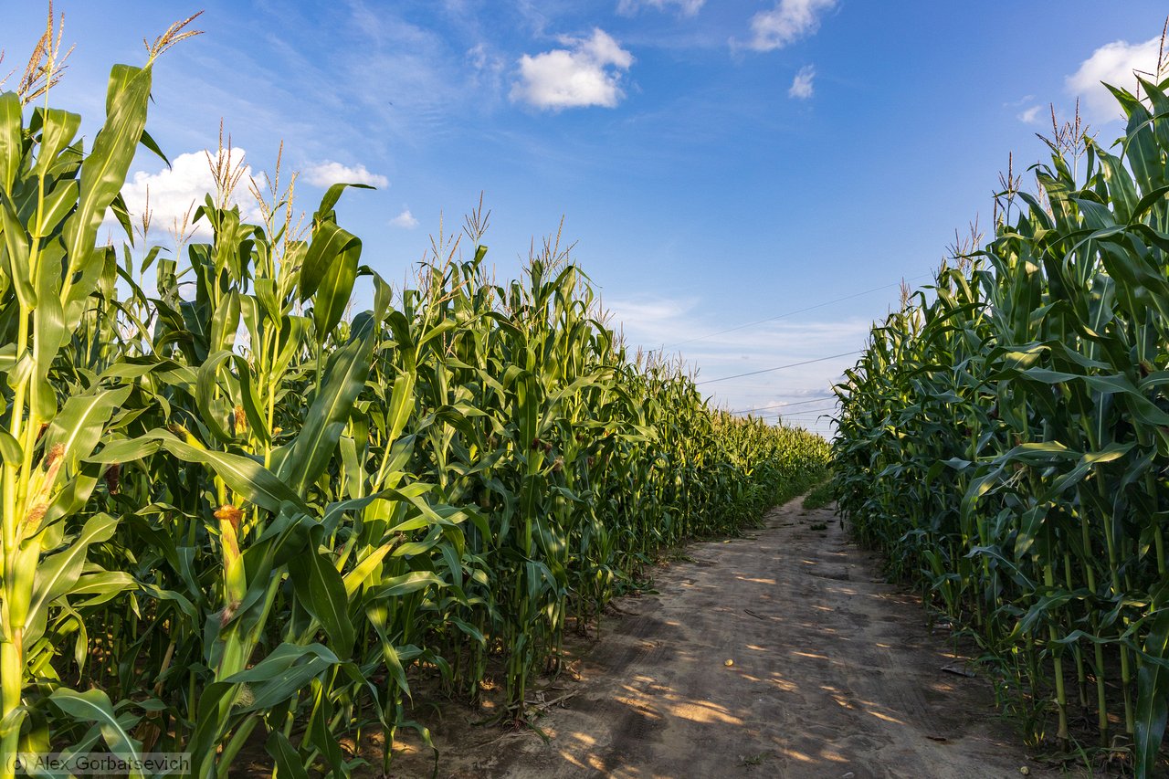 ���������� ������