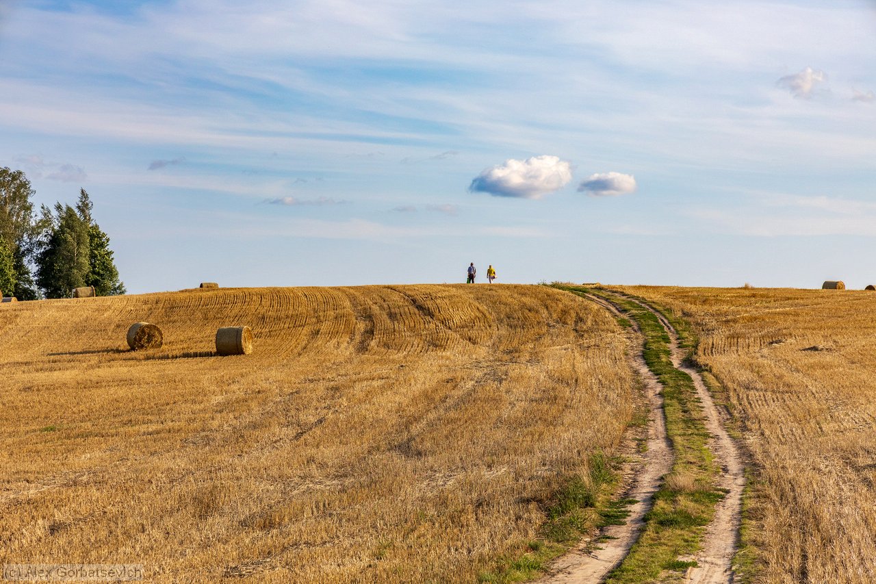 ������� ������