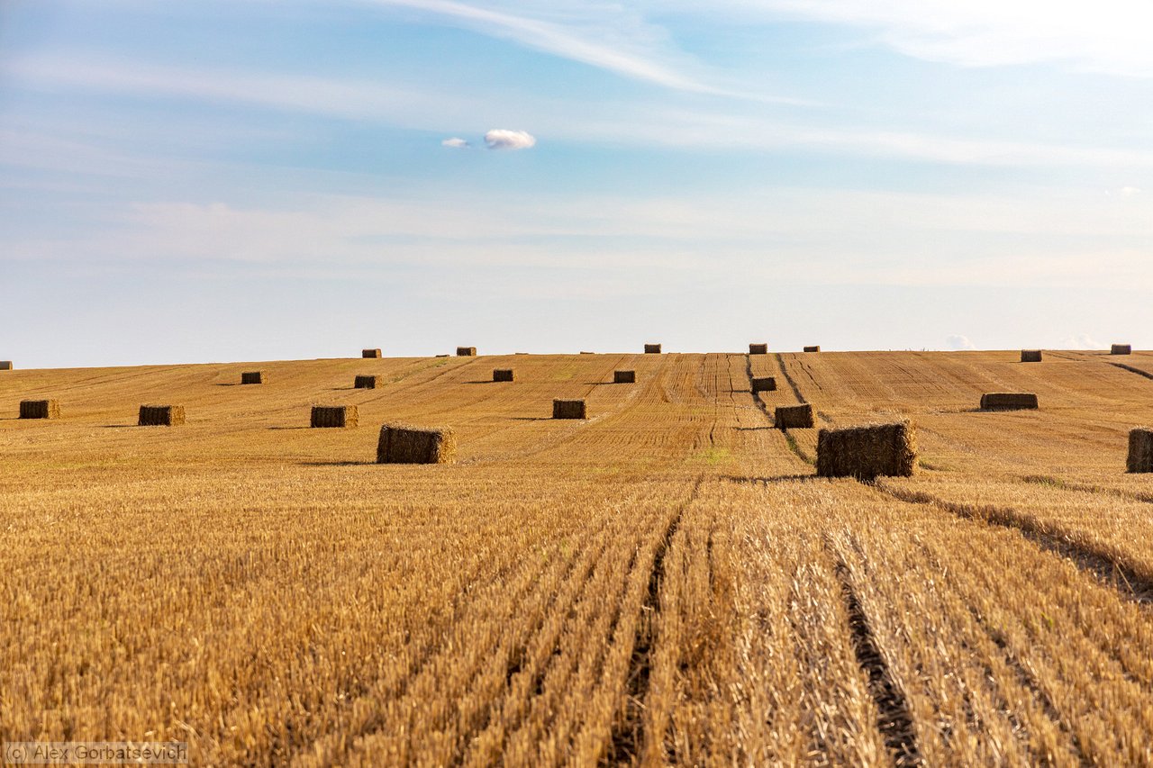 ��, ������!