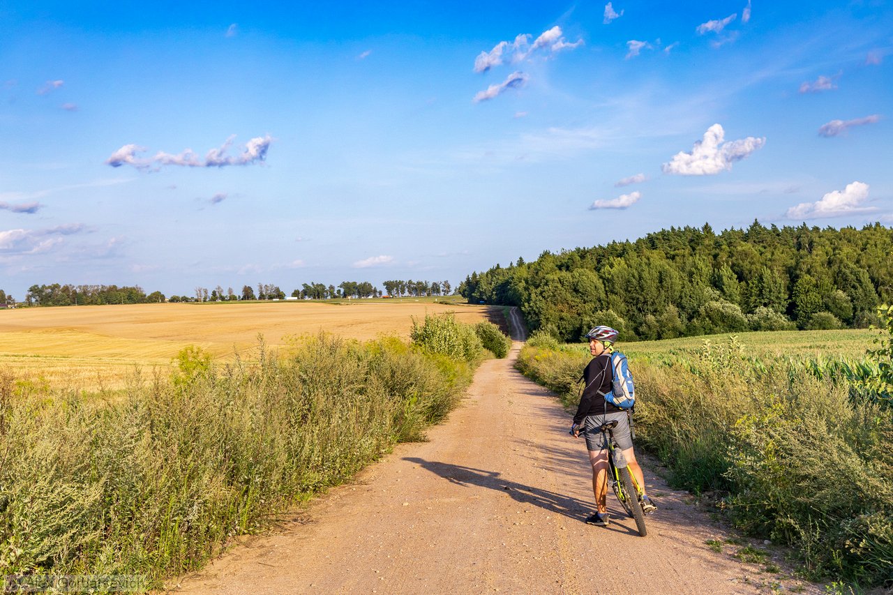 � �������������