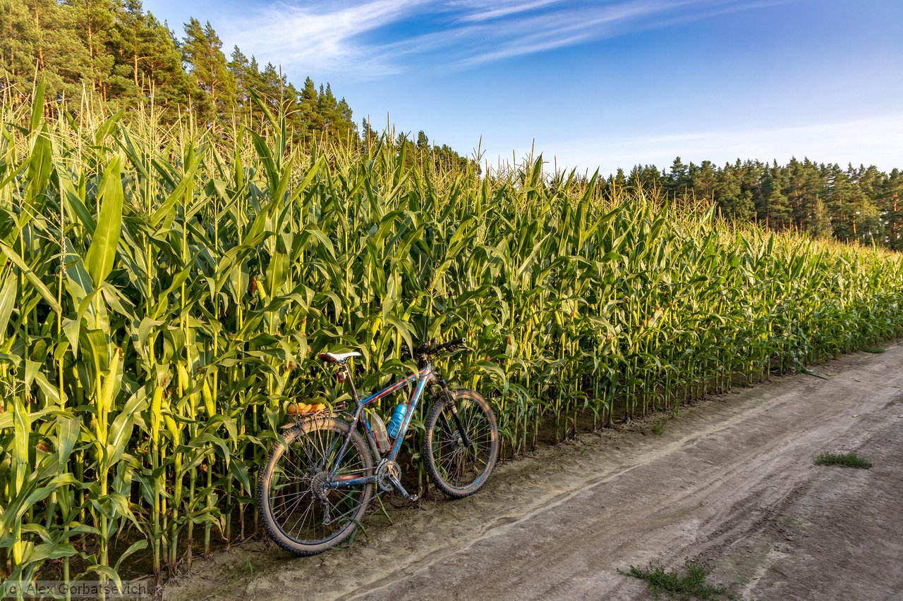 ����������