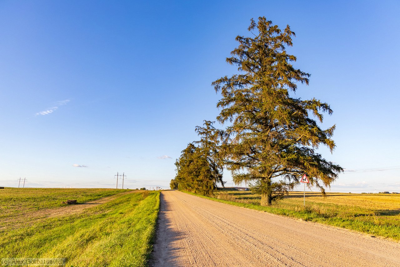 ����� ���������