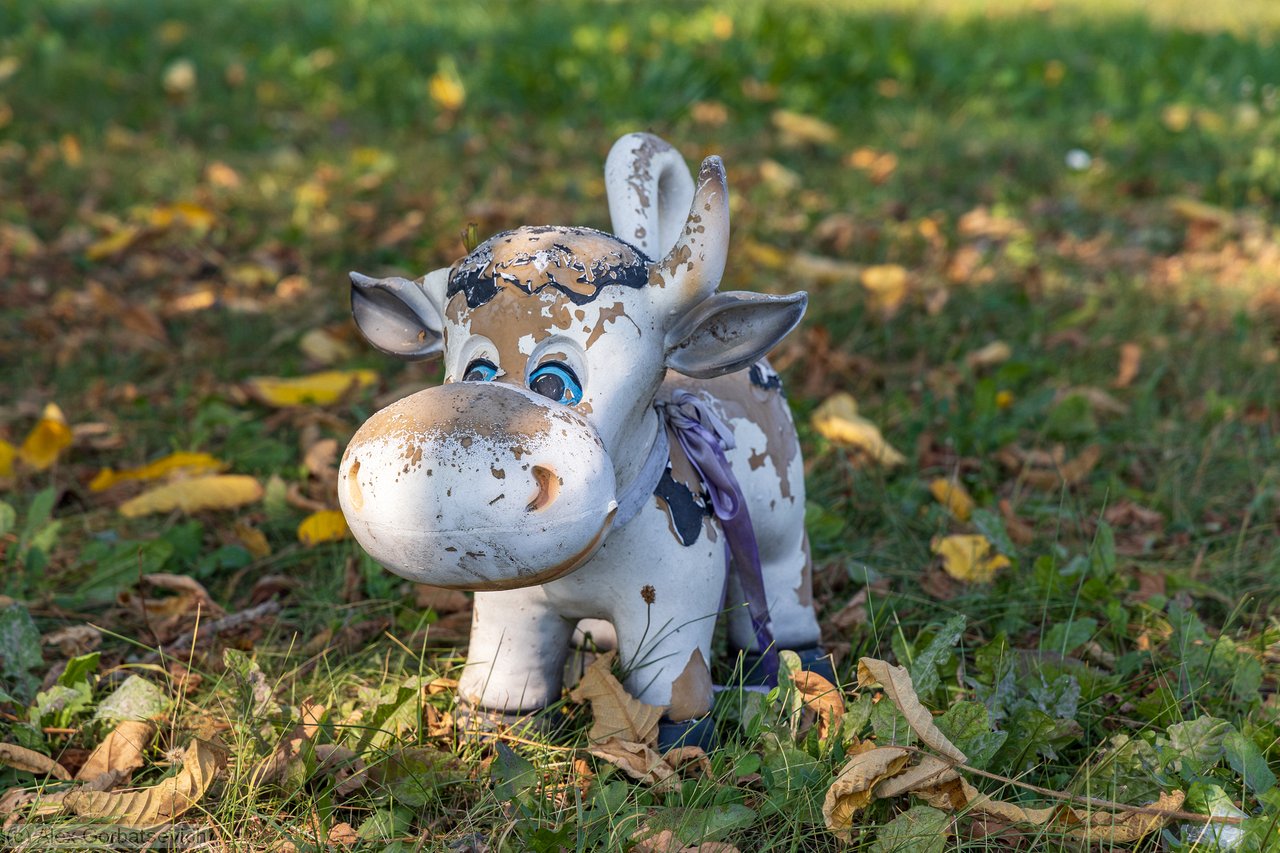 ���������� �������