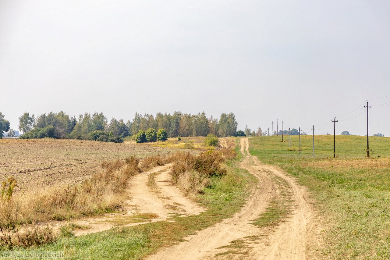 ������ ������