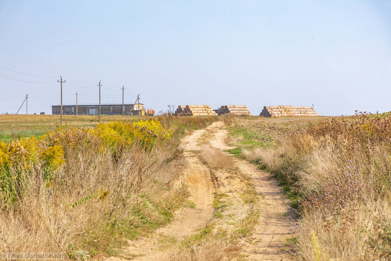 ����� �� ���������