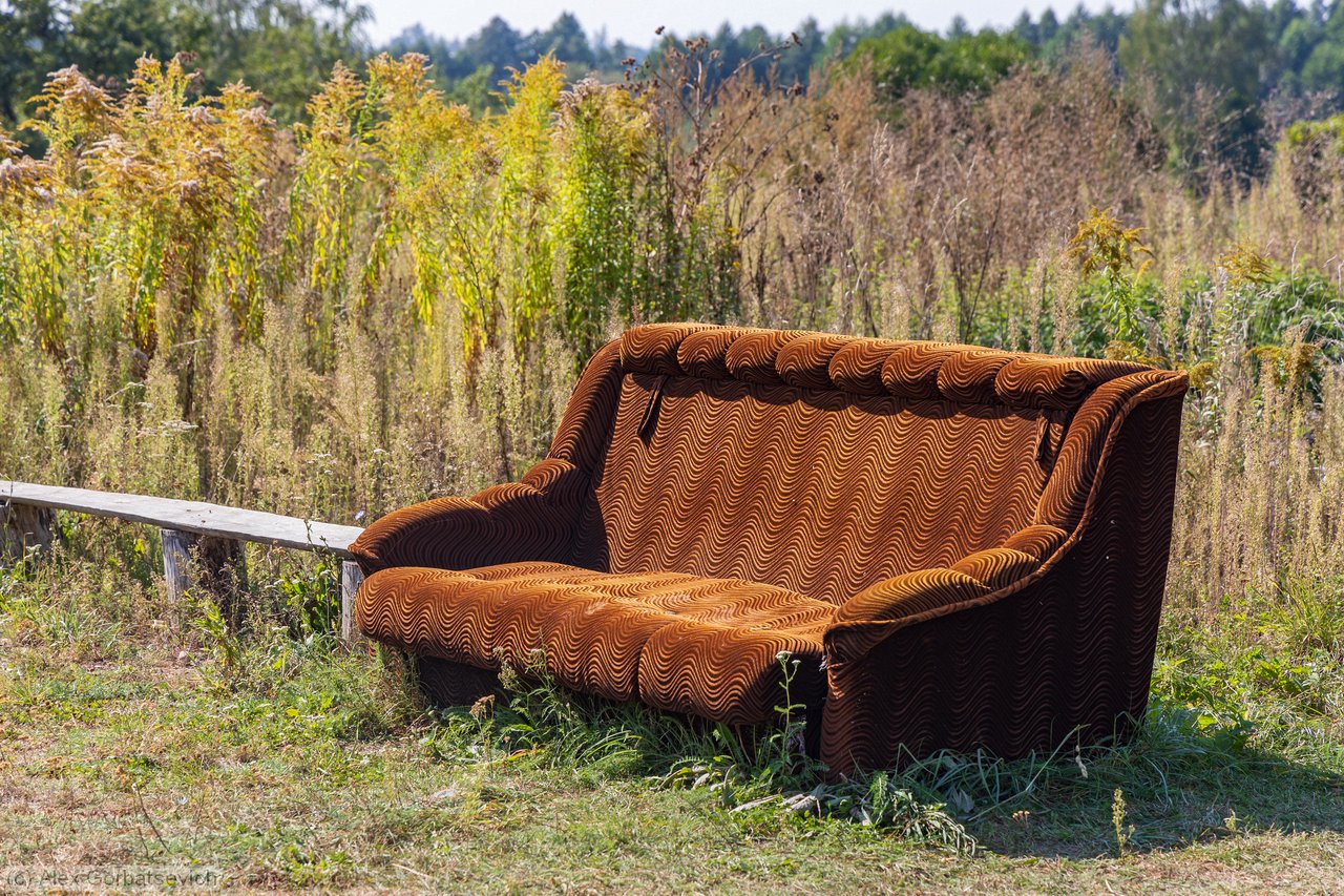 �������� ����� ����