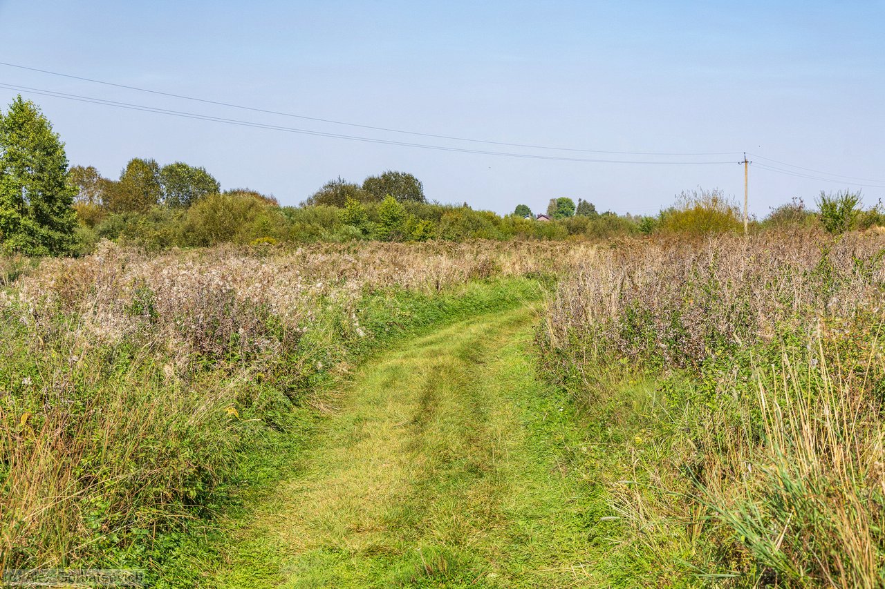 � �������