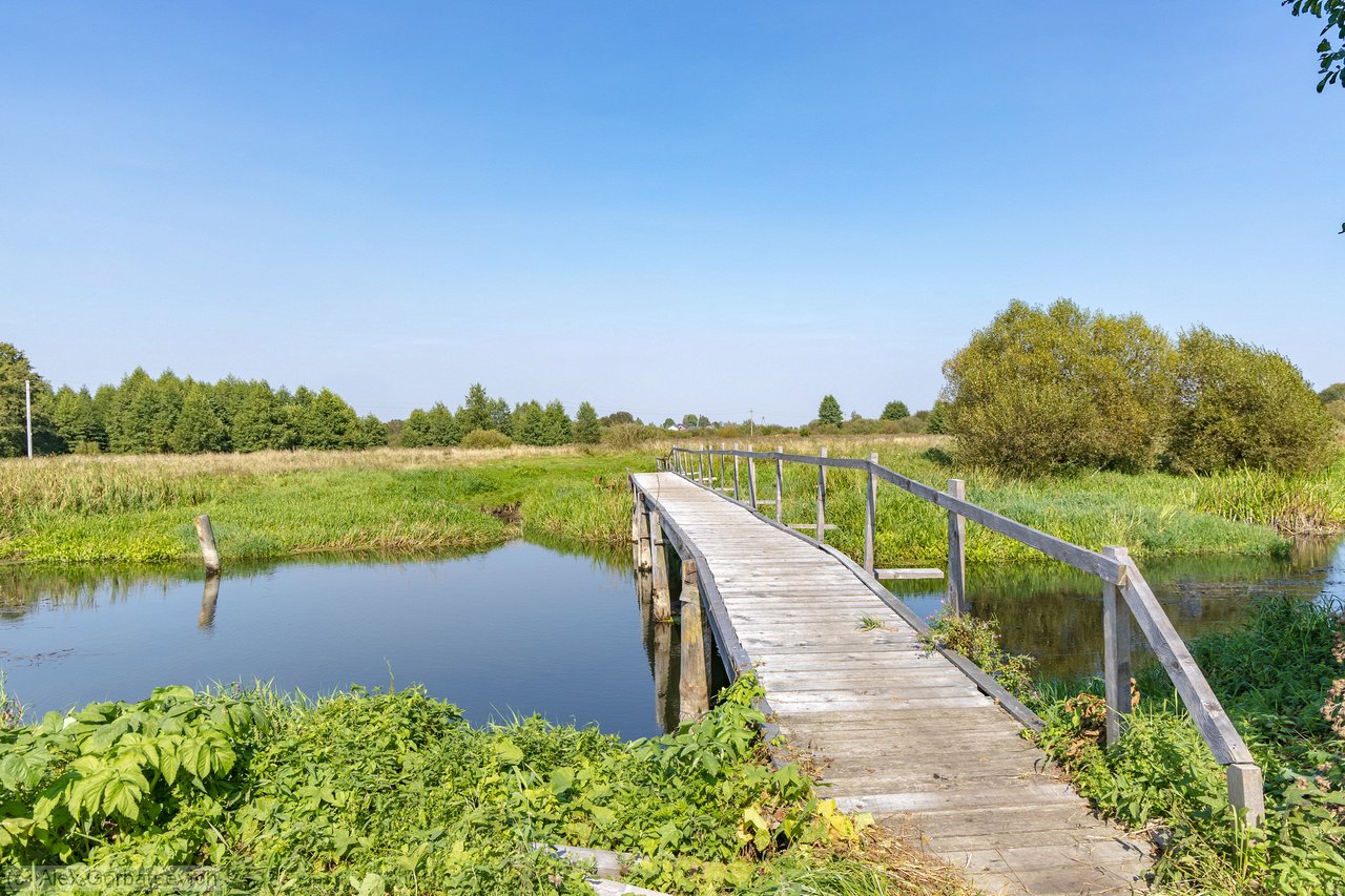 ������ ����� ����