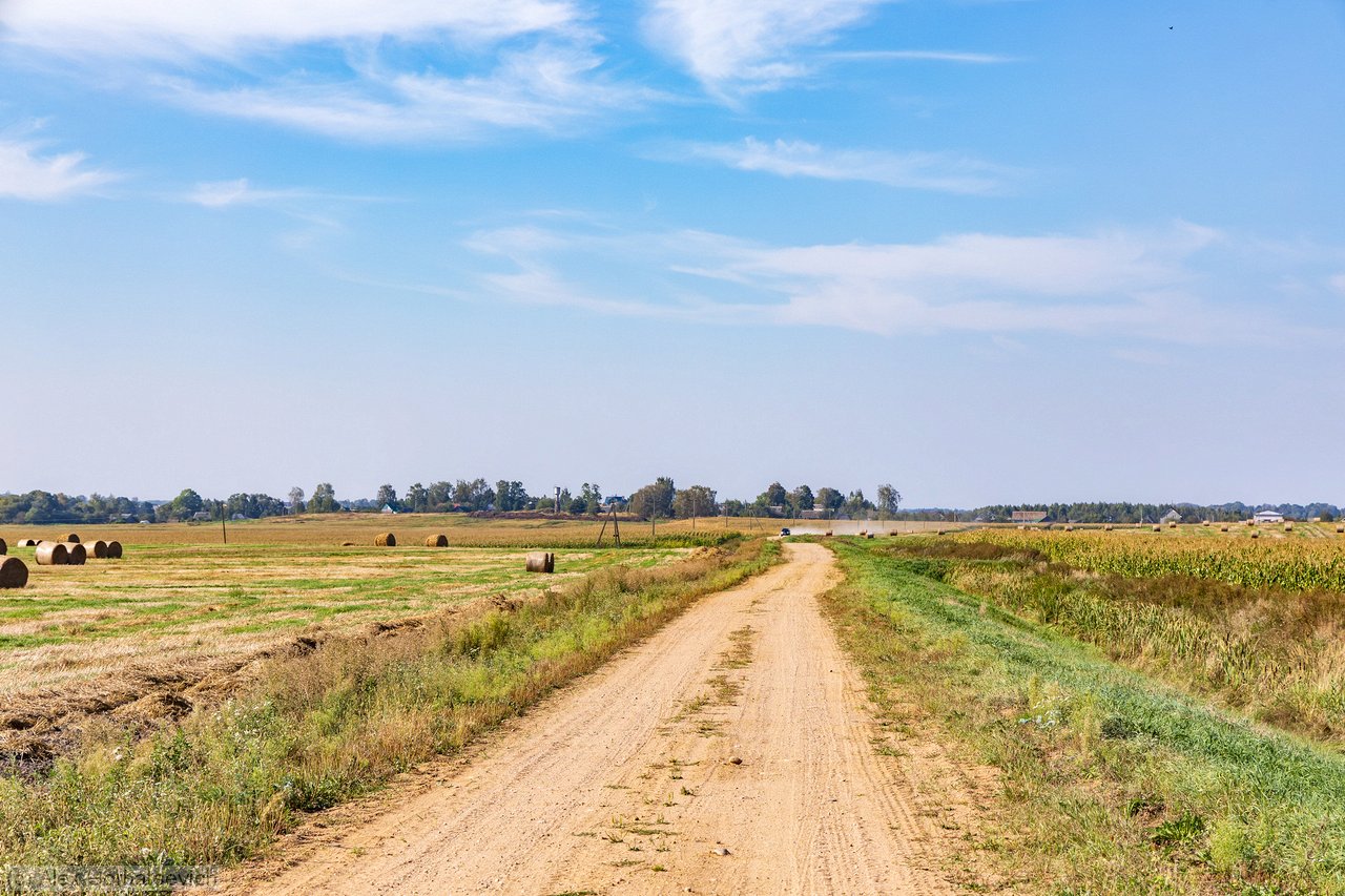 �� ����������