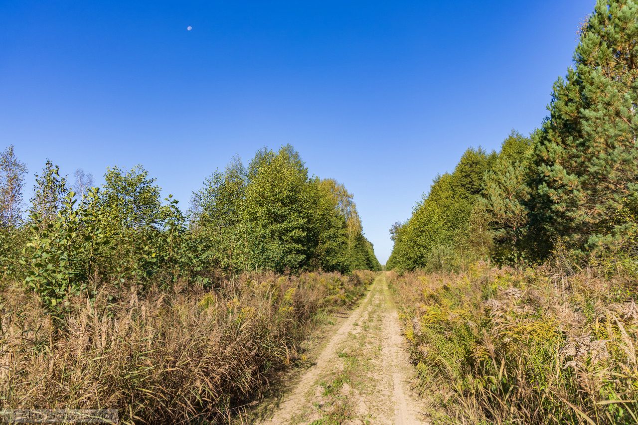 ������. ���. ����. ������