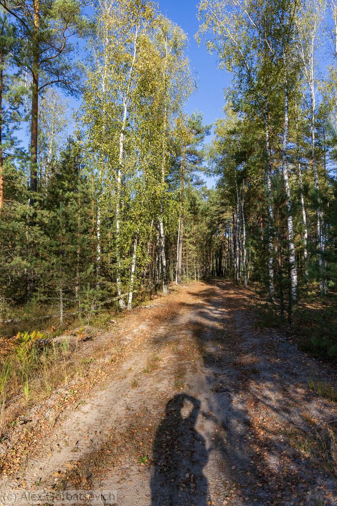 ����� ���