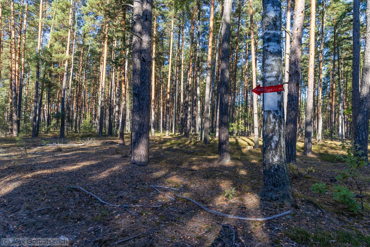 ������ ���� ����