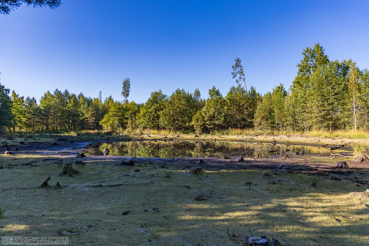 ������ �������