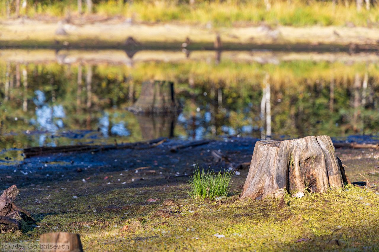 �� ������