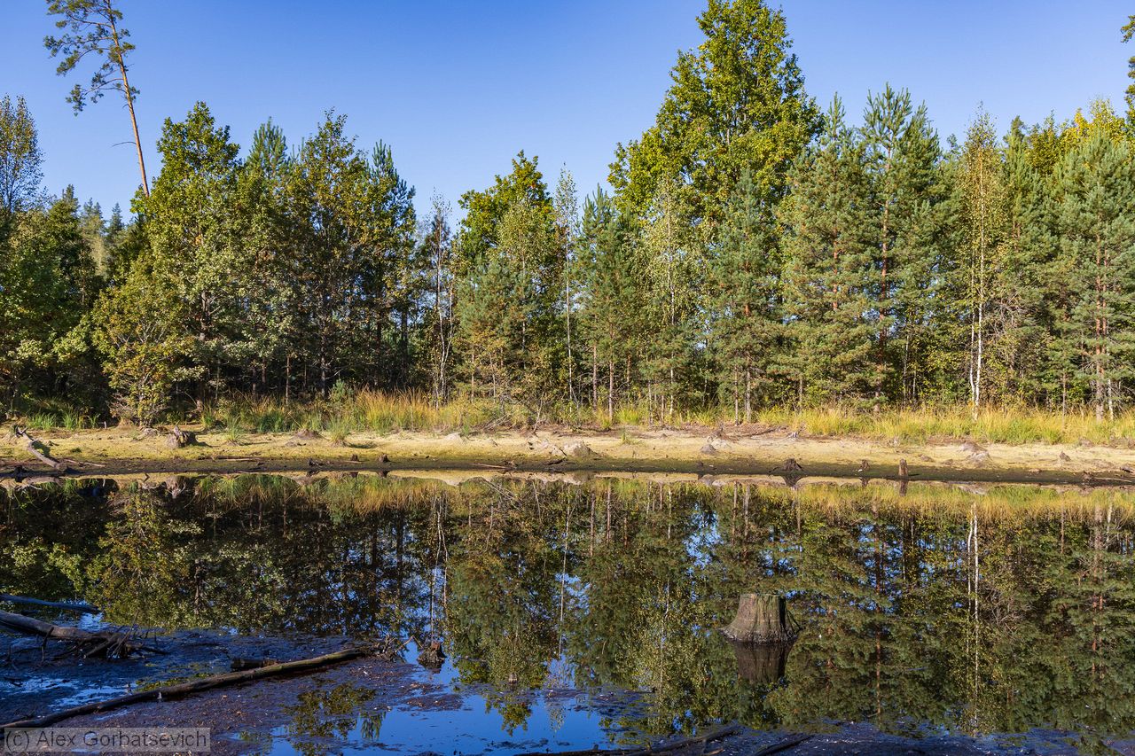 ������ �����