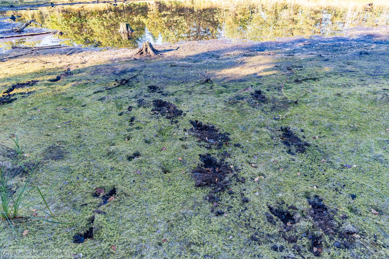 ���� � �������