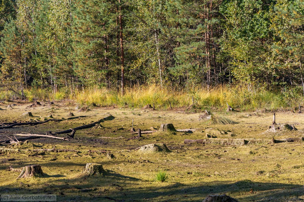 ��� ���� ����