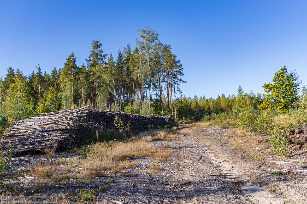 ����� ����, � ����� ������ �����