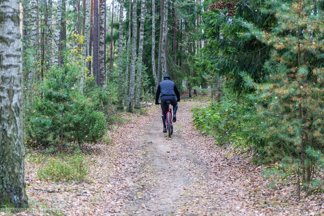 �� ��������