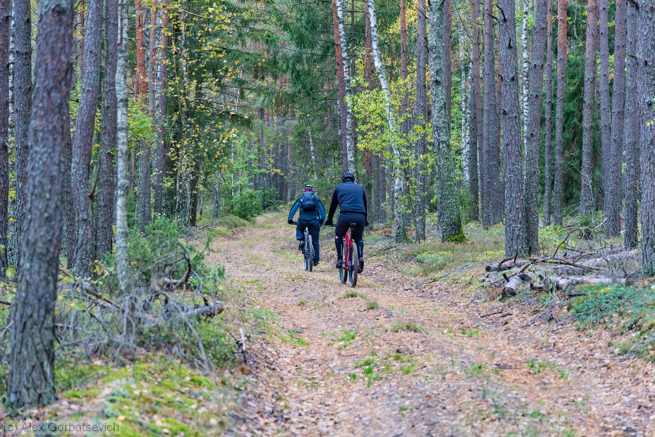 ������ ������