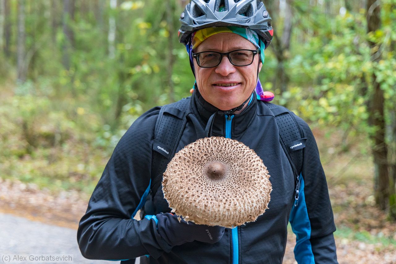 ������� ���