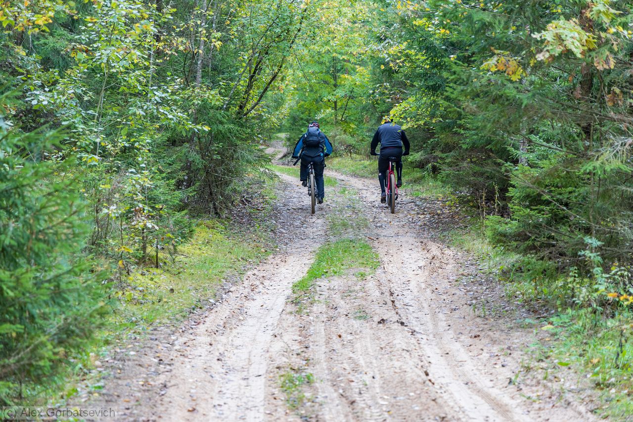 � ������