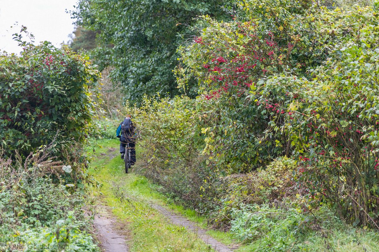 �� ����������