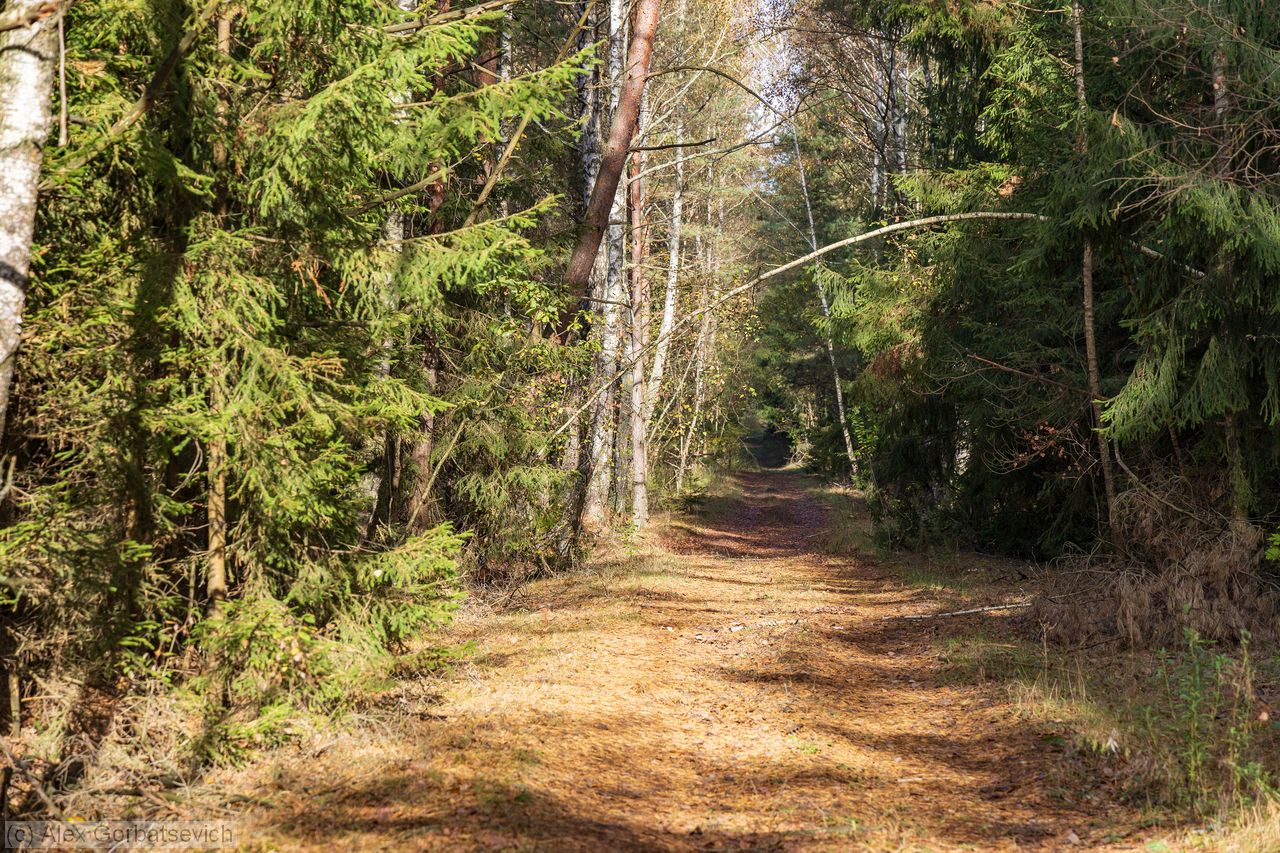 ������� ������