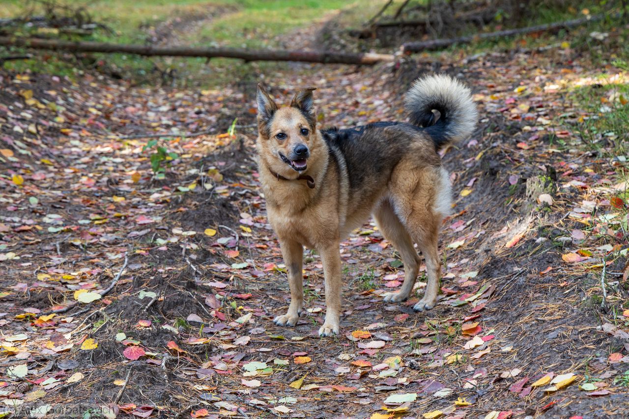 ����� �����