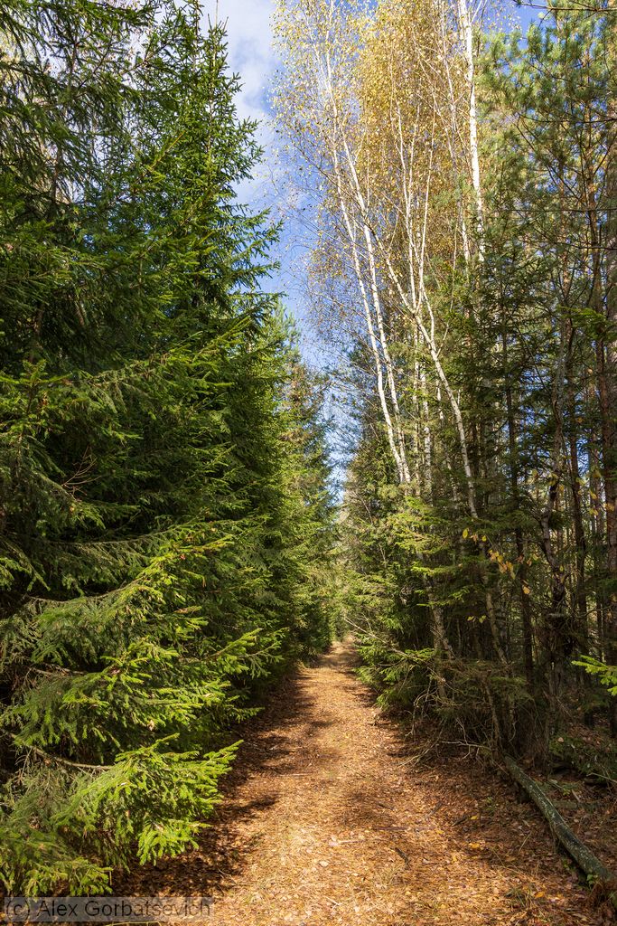 ������� � ����