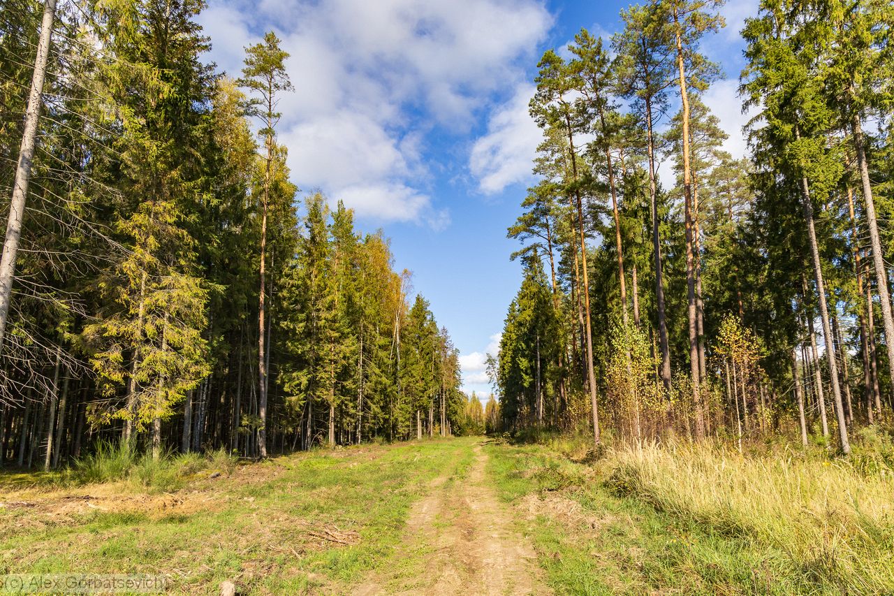 �� �������