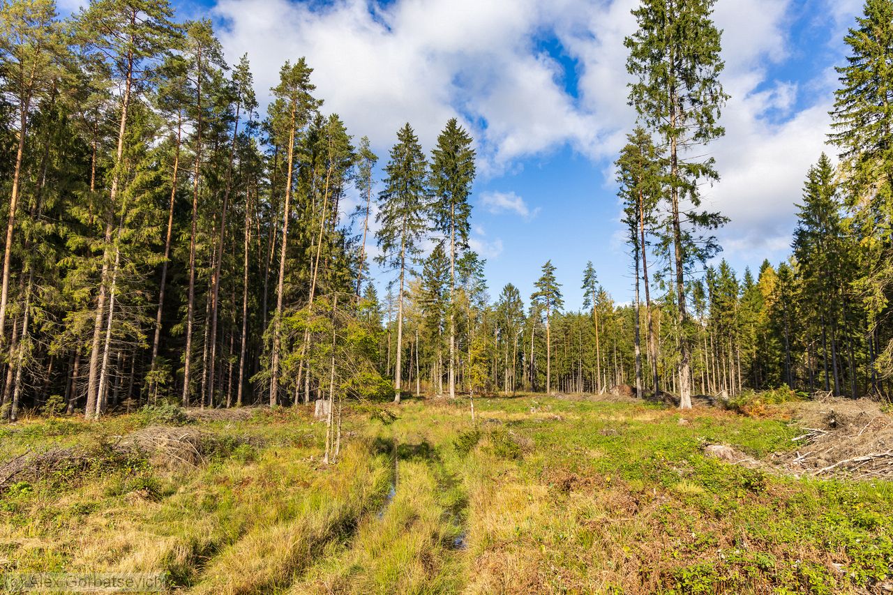 ������ �� �������