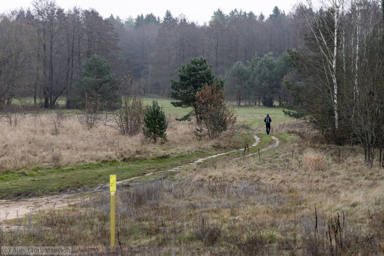 �������� ��������