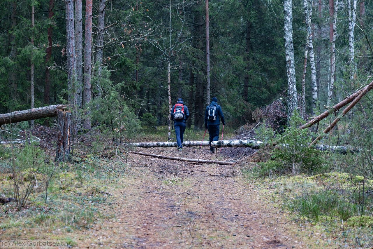 ����� ������